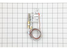 Oxygen Depletion Sensor System – Part Number: W662-0001-SER