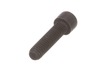 17796252-3-S-Berkel-01-402175-01765-Sckt Screw 5/16 X 11/4