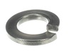17796392-3-S-Berkel-01-402275-03065-Washer 5/16