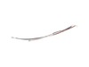 17797923-2-S-Waring-037928-Power Bulb w/Leads /WBW300XCE