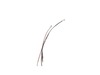 17797923-3-S-Waring-037928-Power Bulb w/Leads /WBW300XCE