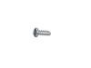 17801063-3-S-Blomberg-170100017-Screw 3.9 x 9,5 Ysb