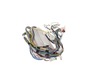 17801918-3-S-Blomberg-1759641100-Cable Harness