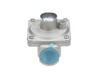 17803801-2-S-Blomberg-223910155-Ng Regulator