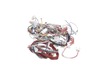 17804920-3-S-Blomberg-260605048-Cable Group