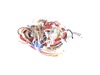 17804923-3-S-Blomberg-260605052-Cable Group