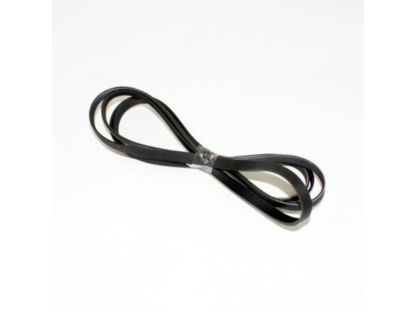 17806008-1-M-Blomberg-2951240100-Elastic Poly-V Belt.