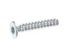 17806017-2-S-Blomberg-2951780300-Delta Pt Screw 50*26 Wn 5454 Hb