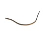 17806035-2-S-Blomberg-2953741100-Single Adhesine Epdm Foam.