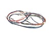 17806415-2-S-Blomberg-2976632200-Main Cable Assembly (Black Box Orion)