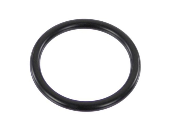 17812475-1-M-DeLonghi-5313238581-Gasket