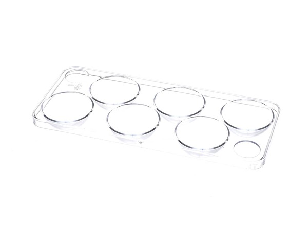 17820808-1-M-SMEG-767530644-Eggs Tray