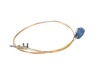 17823626-2-S-SMEG-948650155-Thermocouple (500mm)