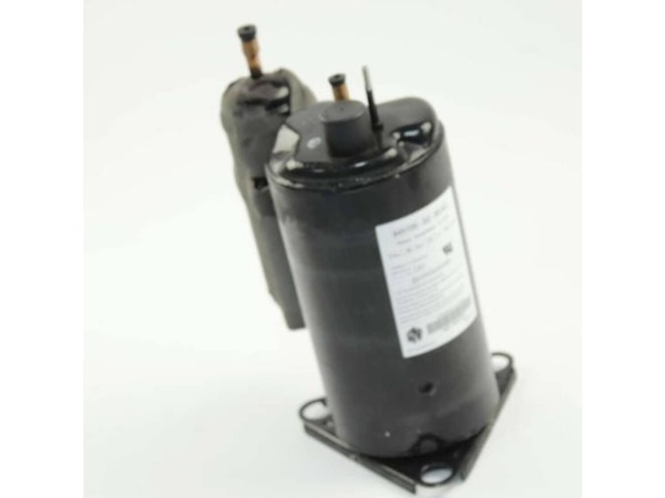 17827470-1-M-DeLonghi-NE2213-Compressor