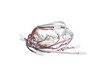17828004-2-S-Blomberg-SH2071-Harness Main
