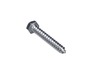 17828022-3-S-Blomberg-SH2089-Lag Screws