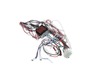 17837024-3-S-SMEG-690733758-Switch Wiring Assembly