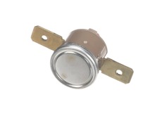 Safety Thermostat – Part Number: 818731311
