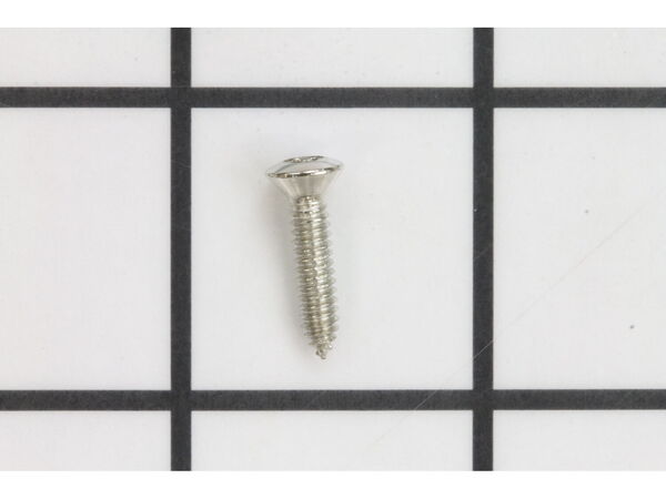17872433-1-M-GE-WB01X50407-SCREW