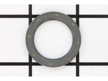 Radial Seal – Part Number: 597576101