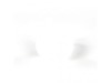 Inlet Connector – Part Number: 12631000000265