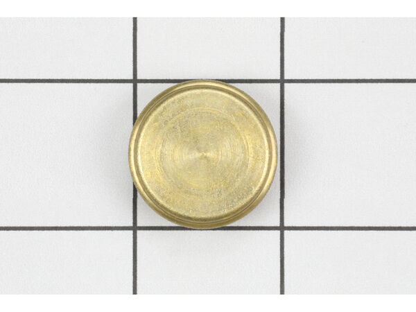 18199493-1-M-Coleman-425A1405-Filler Cap Comp.