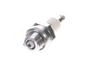 18215391-2-S-Echo-99944500071R-Spark Plug