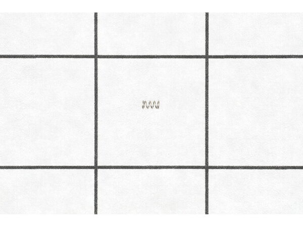 18252845-1-M-Shimano-10HZ6-Click Spring