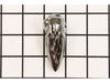18254357-2-S-Shimano-10NLQ-Rear Protector