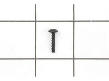 Right Side Plate Screw (a) – Part Number: 10PQR