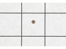 Friction Washer – Part Number: 1125770