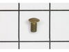 Standard Drive Screw – Part Number: 1181170