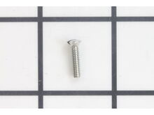 Right Side Plate Screw – Part Number: 1183178