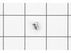 Pawl Cover Screw – Part Number: 1183719
