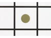 Friction Washer – Part Number: 1206548