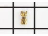 Pinion – Part Number: 1281166