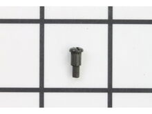 Trigger Screw – Part Number: 38238