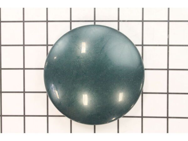 18316058-1-M-Power Wheels-78457-2169-KC Light Cover