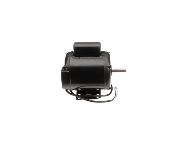18335120-1-M-Rikon-P30-120-43D-1/2HP Motor.  EE-1-2-2