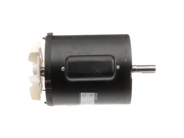 18337049-1-M-Rikon-P60-100-6-Motor(  CC-4--1)