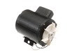18337049-3-S-Rikon-P60-100-6-Motor(  CC-4--1)
