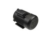 18337148-3-S-Rikon-P60-150-24-1-1/2 HP Motor   DD-2-2-6