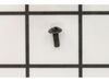 Bail Hold Support Screw – Part Number: RD0959