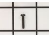 Side Cover Screw (Long) – Part Number: RD1676