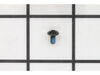 Bail Hold Support Screw – Part Number: RD5819