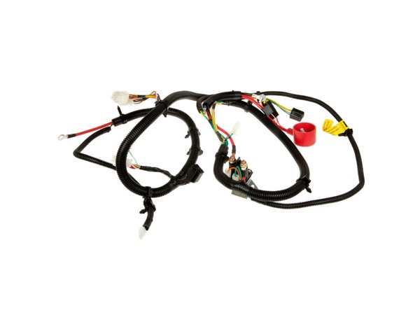 18466577-1-M-MTD-725P06765A-HARNESS-MAIN M-PT