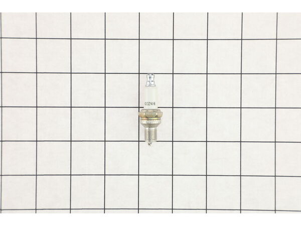 18485638-1-M-MTD-794-00098-SPARK PLUG 10MM:EM
