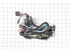 HARNESS.IGN – Part Number: 583019601