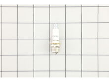 RDJ7J SM ENG SPARK PLUG – Part Number: 860