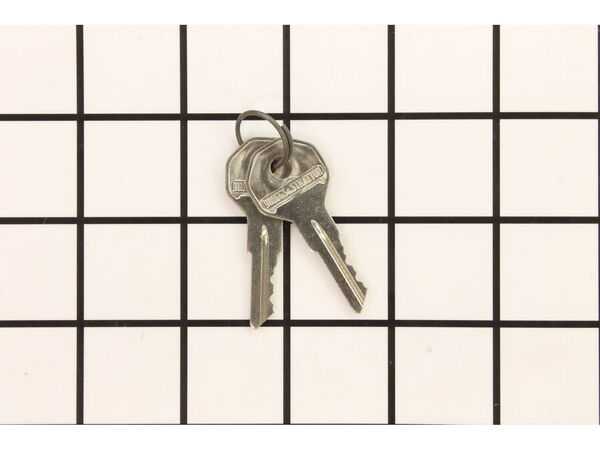 18603467-1-M-Murray-7011167YP-KEY IGNITION V21 PA
